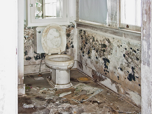 pub2949b moldy bathroomjpg